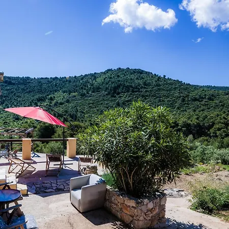 Olive Hill Familly House Vis