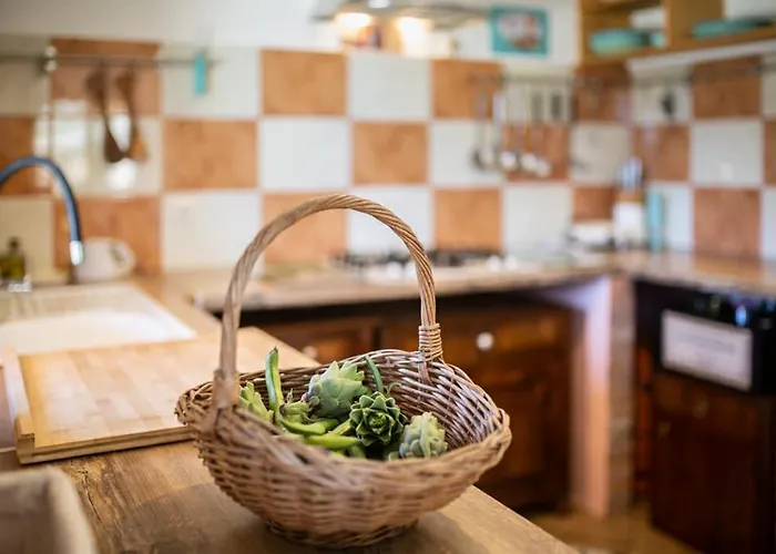 Prázdninový dům Olive Hill Familly House