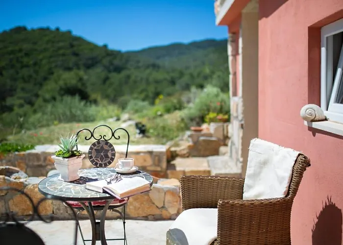 Prázdninový dům Olive Hill Familly House Vis