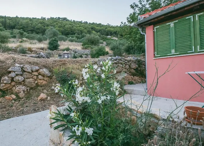 Olive Hill Familly House Prázdninový dům