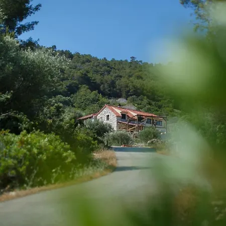 Olive Hill Familly House *