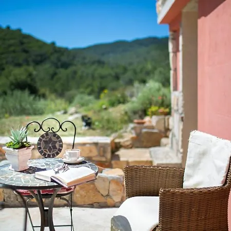 Holiday home Olive Hill Familly House Vis