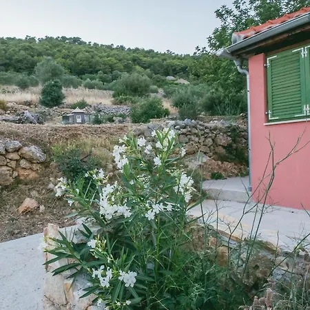 Olive Hill Familly House Hébergement de vacances