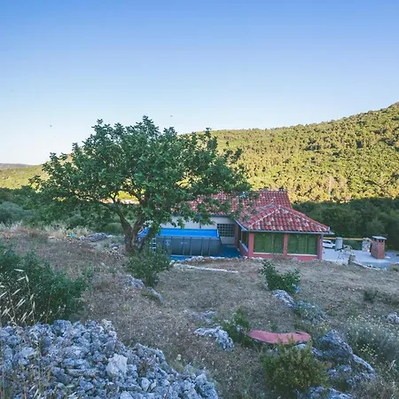 Holiday home Olive Hill Familly House